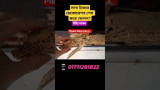 লাখ টাকার #ডেকোরেশন শেষ করে ফেলল? #উইপোকা #termites #viralreels #pestcontrol #reelsvideo #shorts