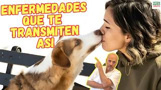 🆘  ENFERMEDADES QUE TRANSMITEN LOS PERROS A LOS HUMANOS POR LA SALIVA 🆘