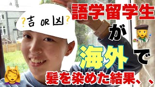 留学生、海外で髪を染める、、、　語学留学生/ アイルランド留学/ 海外生活vlog