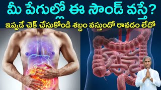 How to Stop Your Stomach Noises | మీ పేగుల్లో ఈ సౌండ్ వస్తే ? | Dr Manthena Satyanarayana Raju