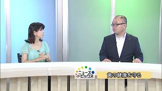 ニューストピックス「歯の健康を守る」北國新聞社文化部・岩上拓磨記者　2024年7月8日放送