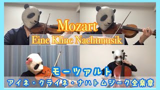 【Full】Eine Kleine Nachtmusik【String Quartet】