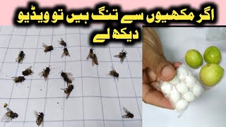 Makhiya mar spray remedy / Makhi mar spray by chef shair khan food