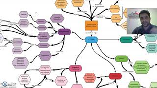 mapa conceptual tecnicas de entrevistas