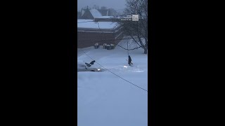Serious Snow Situation In Syracuse