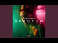 Spectum (Original Mix)