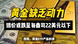 贵金属分析师：黄金缺乏动力，银价或跌至每盎司22美元以下