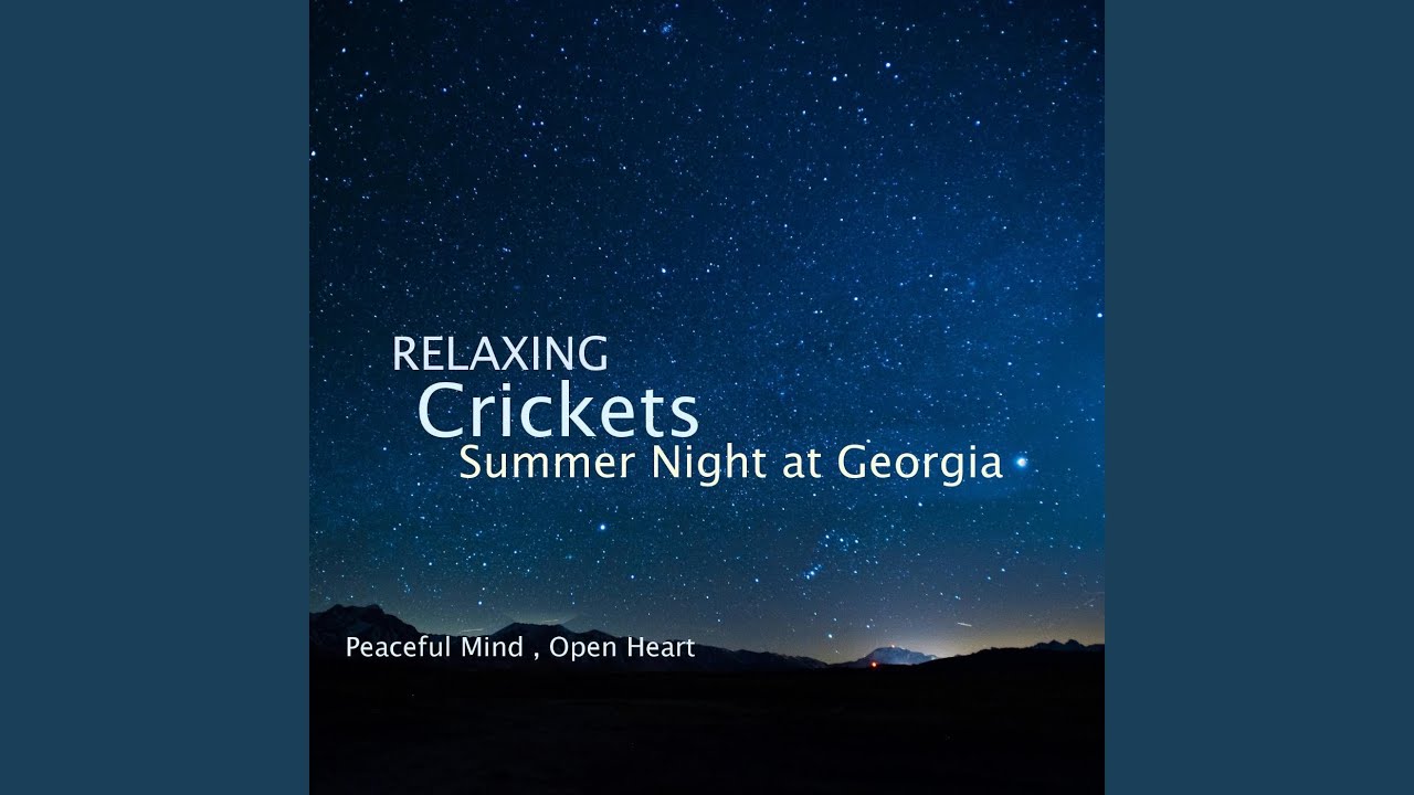 Night Time Forest Sounds Youtube