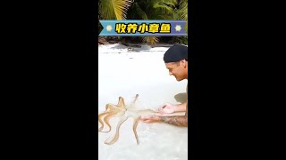 男孩在海邊發現一隻小章魚，帶回家照顧，長大後把它放生 #人與動物和諧共處 #野生動物零距離 #動物科普 #神奇動物在抖音 #萌寵