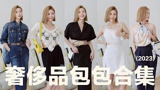 2023上半年的7只奢侈品包包 | 详细测评 | 夏日多巴胺穿搭 | Chanel | Hermes | Dior | LV | Jil Sander | MISSANTI