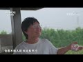 《远方的家》 20221228 行走山水间 同耕沃土 别样生活 cctv中文国际