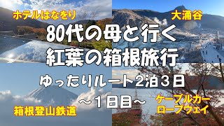 高齢母と行く2024紅葉の箱根2泊3日 1日目 箱根湯本 大涌谷 芦ノ湖 箱根登山鉄道 ケーブルカー ロープウェイ ホテルはなをり Hakone Owakudani Ashinoko Ropeway