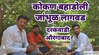 कोकण बहाडोली जांभूळ लागवड दरकवाडी ता.जि.औरंगाबाद Bahadoli Purple plantation Darakwadi Aurangabad