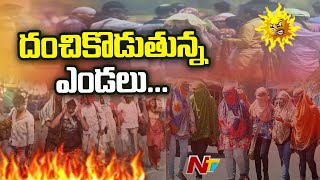 ఏపీ తెలంగాణలో మండుతున్న ఎండలు | Weather Report | Ntv