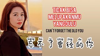 忘不了曾经的你 - Wang Bu Le Ceng Jing De Ni - Gao An Guo Ling (高安 郭玲) - Lagu Mandarin Subtitle Indonesia