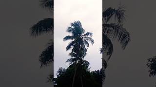 കുറച്ചു വൈകിയെങ്കിലും എല്ലാം ആഘോഷത്തോടെ ⛈️