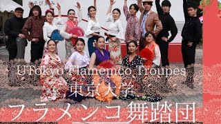 東京大学フラメンコ舞踏団 新歓公演 2024