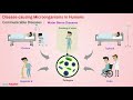 microorganisms friend and foe class 8 science harmful microorganisms