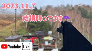 【🐻ラジG】2023.11.7/結構降ってます☔️/YouTubeアプデで不具合修正直ったか‼️