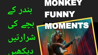 Funny baby monkey | bbc earth | monkey