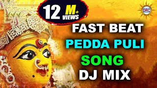Fast Beat PedhaPuli Song Dj Mix Special Song  | Devotional Songs | Disco Recording Company