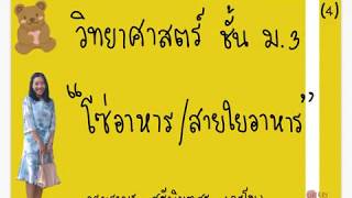 วิทย์ ม.3 (4) เรื่อง โซ่อาหาร สายใยอาหาร