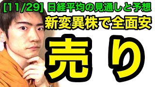 日経平均チャート見通しと予想：日本株暴落、これからどうする？（11/29版）