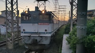 [クリーンかわさき号] 8月11日小田栄駅 新鶴見A27運用 152レ EF65 2060