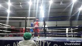 Stc mastuana shibh phinder boxer fight