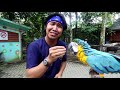 (ENG SUB) Zooku at Home 2022 Episode 2 - Children's World | Zoo Negara Malaysia