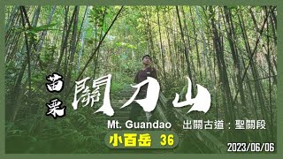 苗栗 關刀山｜小百岳36｜出關古道：聖關段｜山野日記EP.37