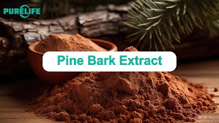 Pine Bark Extract