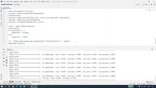 Binary image classification using tensorflow , keras and python