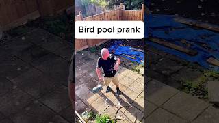 Bird poop prank π #pranks #funny #epicfails #scarepranks #tiktok #scarecam #jumpscare #shorts #memes