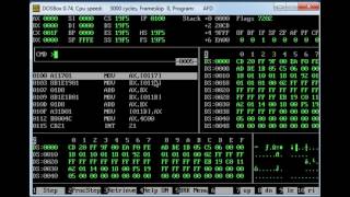 Variables declaration in Assembly programming