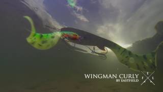 Eastfield Wingman Curly - Swimming action