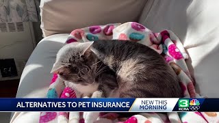 Consumer Reports: Is pet insurance worth it? Here are alternatives