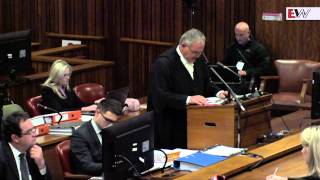 Pistorius trial: immediate neighbours testify