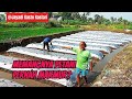 MEMANGNYA PETANI PERNAH MAKMUR?! -Padi Ndak Pernah Untung ! @Jayadi Kasto Kastari