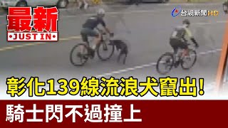 彰化139線流浪犬竄出！ 騎士閃不過撞上【最新快訊】