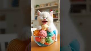 The Greedy Little White Cat Made a Mess at Home \u0026 Finally Gave his Father a Bubble surprise #shorts