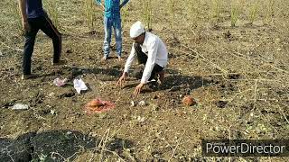 नारळाच्या मदतीने जमिनीतिल पाणी शोधन्यची प्रक्रिया. /Method by find underground water