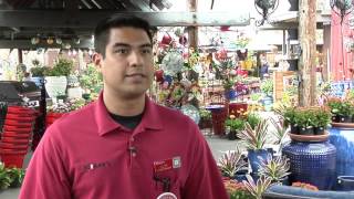 Miner's Ace Hardware Voted the Coolest Hardware Store