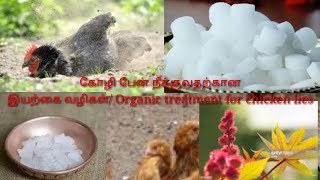 கோழி பேன் நீக்குவதற்கு இயற்கை வழிOrganic treatment for chicken lies