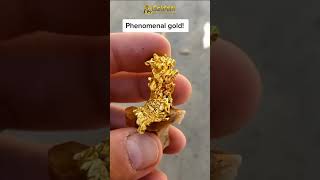 Goldbay - Phenomenal Gold