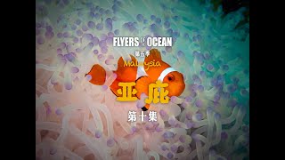 《潜海群英5马来西亚》亚庇 第十集｜亚庇彩虹岛潜水：沉船、海狼风暴