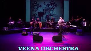 chale the saath milkar by Veena Orchestra...  saffy jahangier