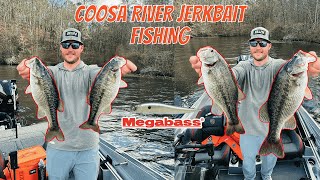 Coosa River Jerkbait Fishing With Active Target!