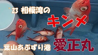 23 相模湾のキンメ　愛正丸