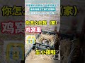 邻居家的猫在自家鸡窝生产，善良的女生忙前忙后照顾，鸡：实在不行给我也炖了给猫补补身体吧！#动物 #pets #猫 #治愈 #萌宠 #cuteanimals #funny